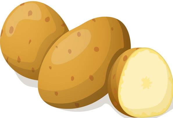 https://cdn2.vectorstock.com/i/1000x1000/76/76/potato-isolated-on-white-vector-8117676.jpg