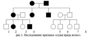 https://urok.1sept.ru/%D1%81%D1%82%D0%B0%D1%82%D1%8C%D0%B8/614464/img2.jpg