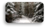 Picture background