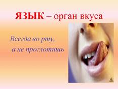 0014-014-JAZYK-organ-vkusa