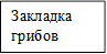 Закладка грибов