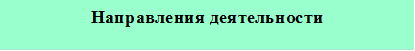 Направления деятельности