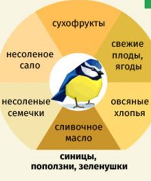 чем можно и нельзя кормить птиц зимой