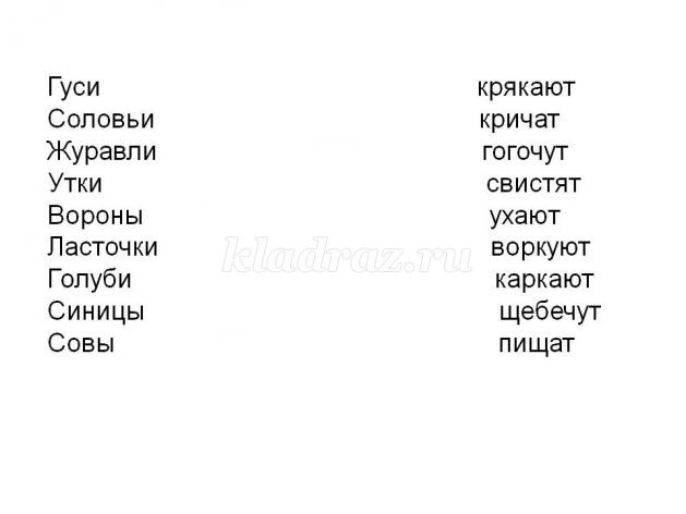 https://kladraz.ru/upload/blogs/2501_155d7d71f935aedcb4cf1f71f7993b31.jpg
