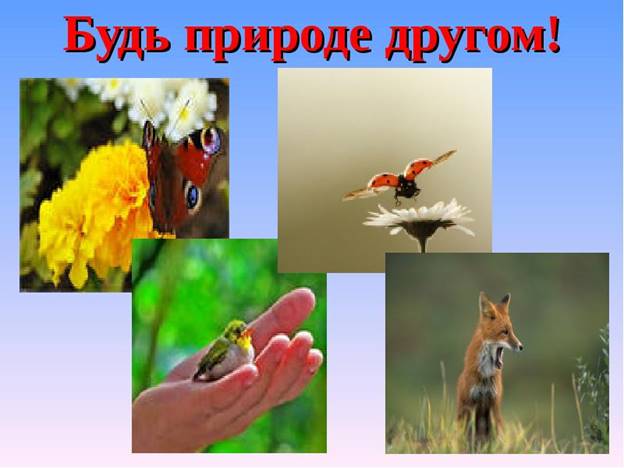 http://mypresentation.ru/documents_2/1b9b4555a0cb61fccc70fc51abaaae55/img17.jpg