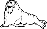 http://www.wildlife-animals.com/coloring-pages/walrus-1.gif