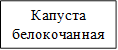 Капуста белокочанная 

