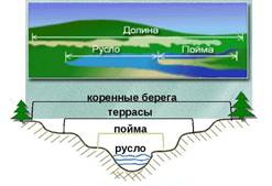 http://fs1.ppt4web.ru/images/3958/65835/640/img5.jpg