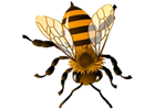 https://img2.freepng.ru/20180316/hpw/kisspng-western-honey-bee-bumblebee-royalty-free-clip-art-easy-insect-cliparts-5aab5e3869b601.946115101521180216433.jpg