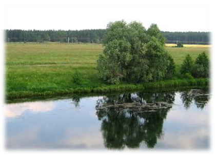 Гремячево. Теша