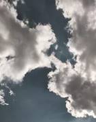 https://avatars.mds.yandex.net/i?id=db160a16950f0afbb59a2f1f630d18f8cef519a5-5339089-images-thumbs&n=13
