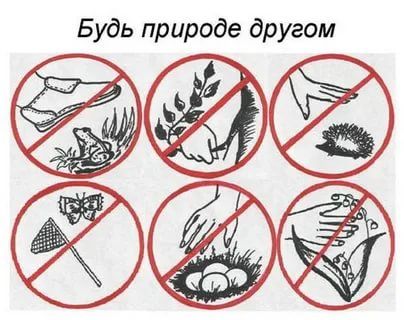 скачать бесплатно знаки правил поведения в природе для дошкольников: 1 тыс  изображений найдено в Яндекс.Картинках | Sume, Cards, Byob