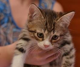 IMG-6c5f3073b6d1c2f37e9674d3a2e2f784-V