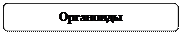 Скругленный прямоугольник: Органоиды 