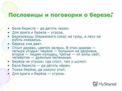 Пословицы и поговорки о березе : Бела береста - да деготь черен. 