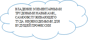 ВЛАДЕНИЕ ЭЛЕМЕНТАРНЫМИ ТРУДОВЫМИ НАВЫКАМИ,, САМООБСЛУЖИВАЮЩЕГО ТУДА. НЕОБХОДИМЫМИ ДЛЯ БУДУЩЕЙ ПРОФЕССИИ

