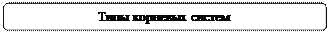 Скругленный прямоугольник: Типы корневых систем
