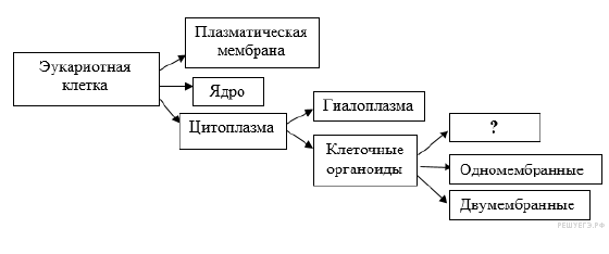 https://bio-ege.sdamgia.ru/get_file?id=36633