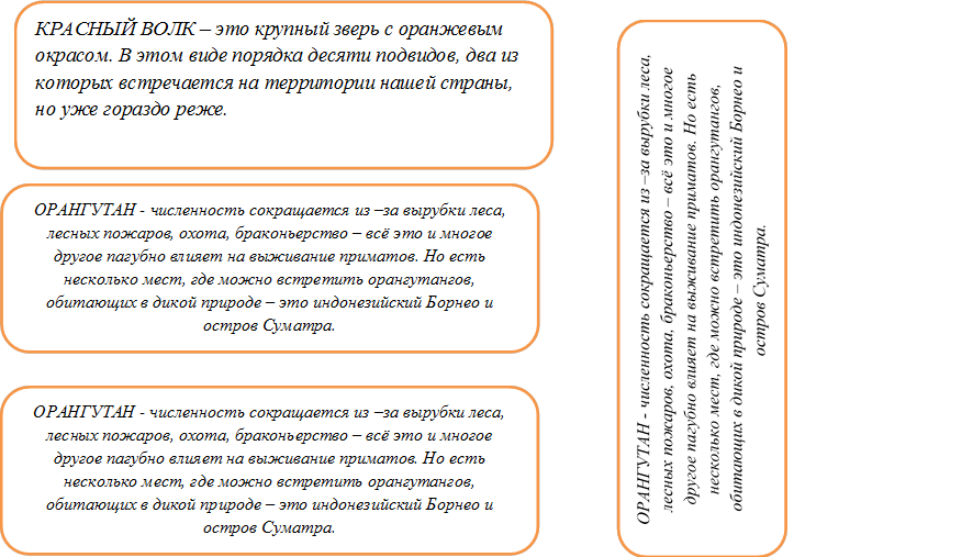 КРАСНЫЙ ВОЛК – это крупный зверь с оранжевым окрасом. В этом виде порядка десяти подвидов, два из которых встречается на территории нашей страны, но уже гораздо реже.


,ОРАНГУТАН - численность сокращается из –за вырубки леса, лесных пожаров, охота, браконьерство – всё это и многое другое пагубно влияет на выживание приматов. Но есть несколько мест, где можно встретить орангутангов, обитающих в дикой природе – это индонезийский Борнео и остров Суматра.


,ОРАНГУТАН - численность сокращается из –за вырубки леса, лесных пожаров, охота, браконьерство – всё это и многое другое пагубно влияет на выживание приматов. Но есть несколько мест, где можно встретить орангутангов, обитающих в дикой природе – это индонезийский Борнео и остров Суматра.


