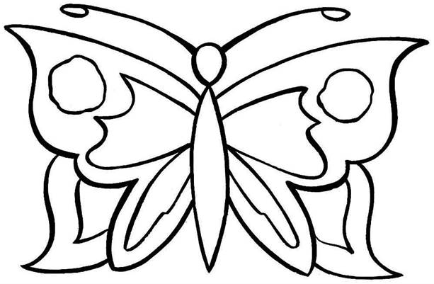 http://moi-raskraski.ru/images/raskraski/animals/butterfly/raskraski-animals-butterfly-28.jpg