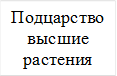 Подцарство высшие растения