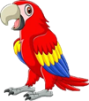 Arara engraçada dos desenhos animados Ve... Free Vector #Freepik #freevector #f.