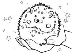 http://stumblinstyle.com/wp-content/uploads/2018/03/hedgehog-coloring-pages-great-33-for-your-online-with.jpg