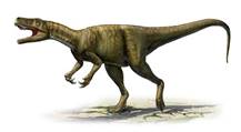 herrerasaurus-ischigualastensis-sergey-krasovskiy