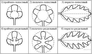 https://bio-oge.sdamgia.ru/get_file?id=219