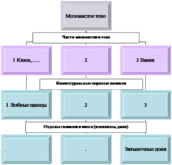 Организационная диаграмма