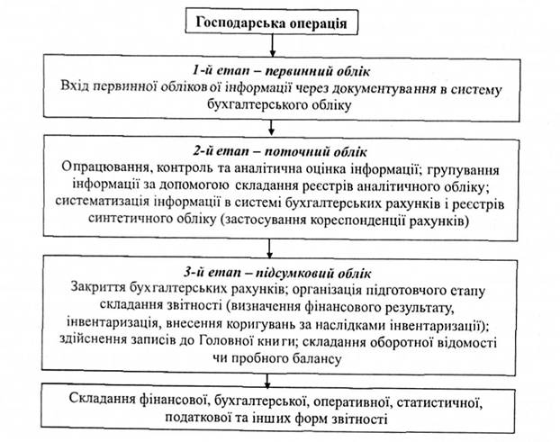 Основні етапи облікового процесу