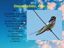 https://sun9-61.userapi.com/impg/j9SBEUH1C_CjSLGfI93Raxn_ox4x4oqrTTF63g/WfwWT9-AucI.jpg?size=1024x767&quality=96&sign=c6f9ab016ca211538b6d15997ea5dd60&type=album
