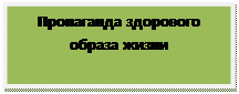 Надпись: Пропаганда здорового образа жизни