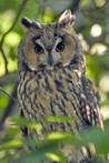Описание: C:\Documents and Settings\Admin\Мои документы\Downloads\117197-004-785AD006.jpg