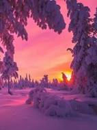 https://avatars.mds.yandex.net/i?id=1c5c063a6fb9f628045f91d37905d81e83509766-4546195-images-thumbs&n=13