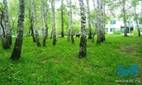 http://www.edu54.ru/sites/default/files/images/2010/01/fcc88e2e9ce787800b17c99228c65a82392ced84_0.JPG