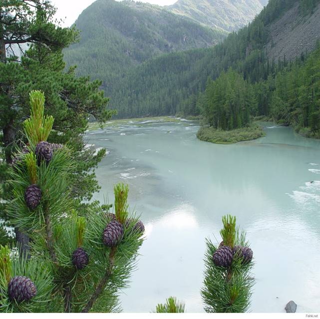 https://s.fishki.net/upload/users/576733/201407/22/22330cf2be2bd80b4fe7230b6cfaf7a4.jpg