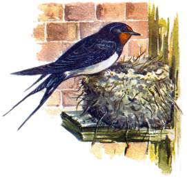 сканирование0030