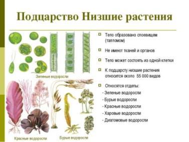 https://xn--j1ahfl.xn--p1ai/data/images/u144886/t1518545341aa.jpg