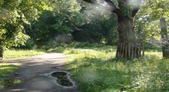 http://www.dishisvobodno.ru/pictures/eco_tula_obl-03.jpg