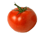 http://vneklassa.narod.ru/kartinki/kartinki_03_1/min_pomidor.gif