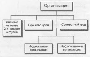 Элементы организаций в менеджменте