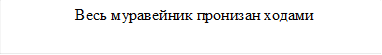   Весь муравейник пронизан ходами


