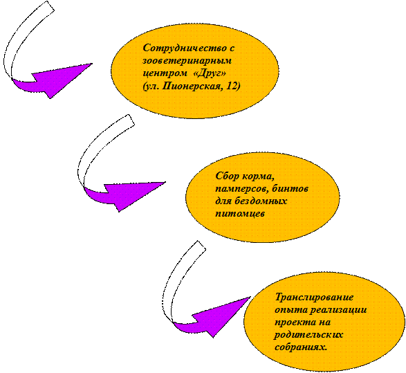 Сотрудничество с  зооветеринарным центром  «Друг» 
(ул. Пионерская, 12)
,Сбор корма, памперсов, бинтов для бездомных питомцев,Транслирование опыта реализации проекта на родительских собраниях.