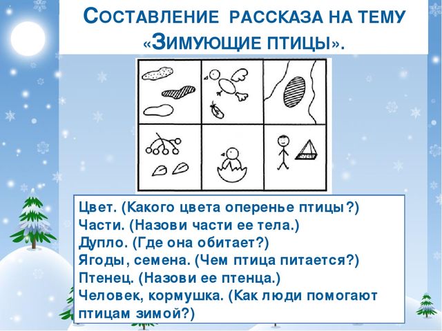 СОСТАВЛЕНИЕ РАССКАЗА НА ТЕМУ «ЗИМУЮЩИЕ ПТИЦЫ». Цвет. (Какого цвета оперенье п...