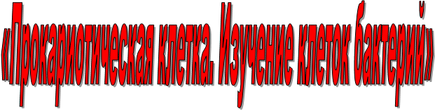 «Прокариотическая клетка. Изучение клеток бактерий»