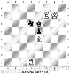 9 ходов. Мат в 1 ход номер 82. Таль Майдла 1987 мат в один ход. Шахматный мат на заборе. 1 Ход отбой 5 карт.