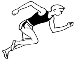 http://spo.1september.ru/2005/18/13-4.jpg