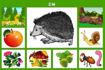https://fs-th03.getcourse.ru/fileservice/file/thumbnail/h/19c94d682eceaf32d915a19b73da257d.jpg/s/f1200x/a/27502/sc/248