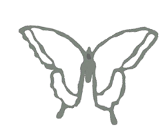 https://img1.liveinternet.ru/images/foto/b/1/apps/1/156/1156515_borboletas_pb_17.jpg